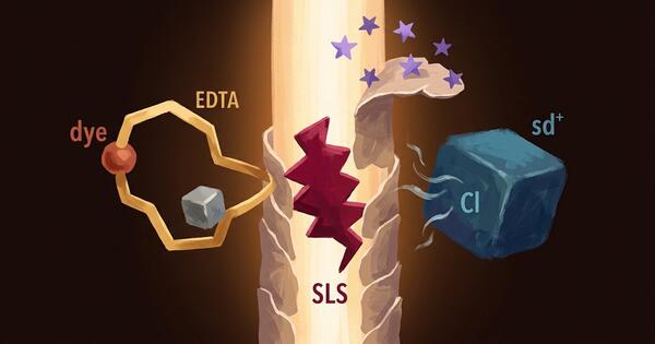 Shampoo Ingredients Bad for Color-Treated Hair: The Full List